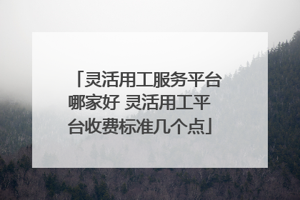灵活用工服务平台哪家好 灵活用工平台收费标准几个点